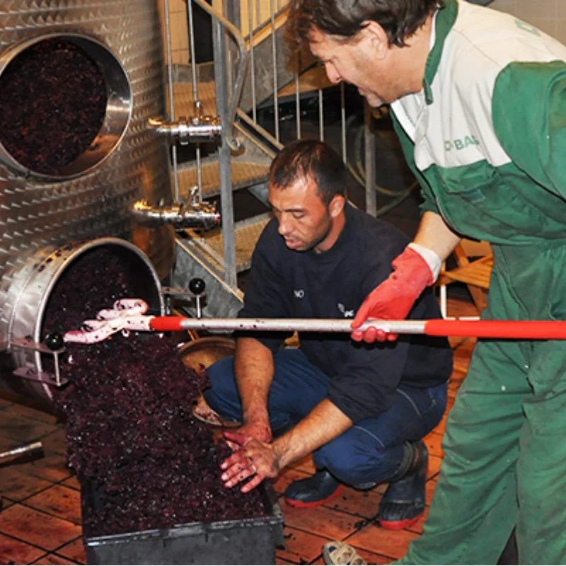 One Great Wine Every Day